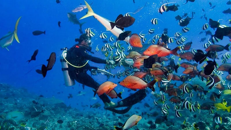 تفریحات آبی جزیره بالی
