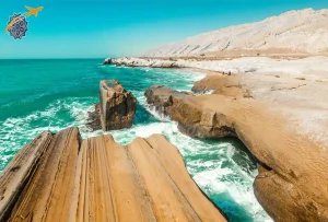 تور قشم از شیراز