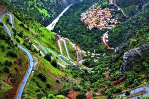 تور کردستان